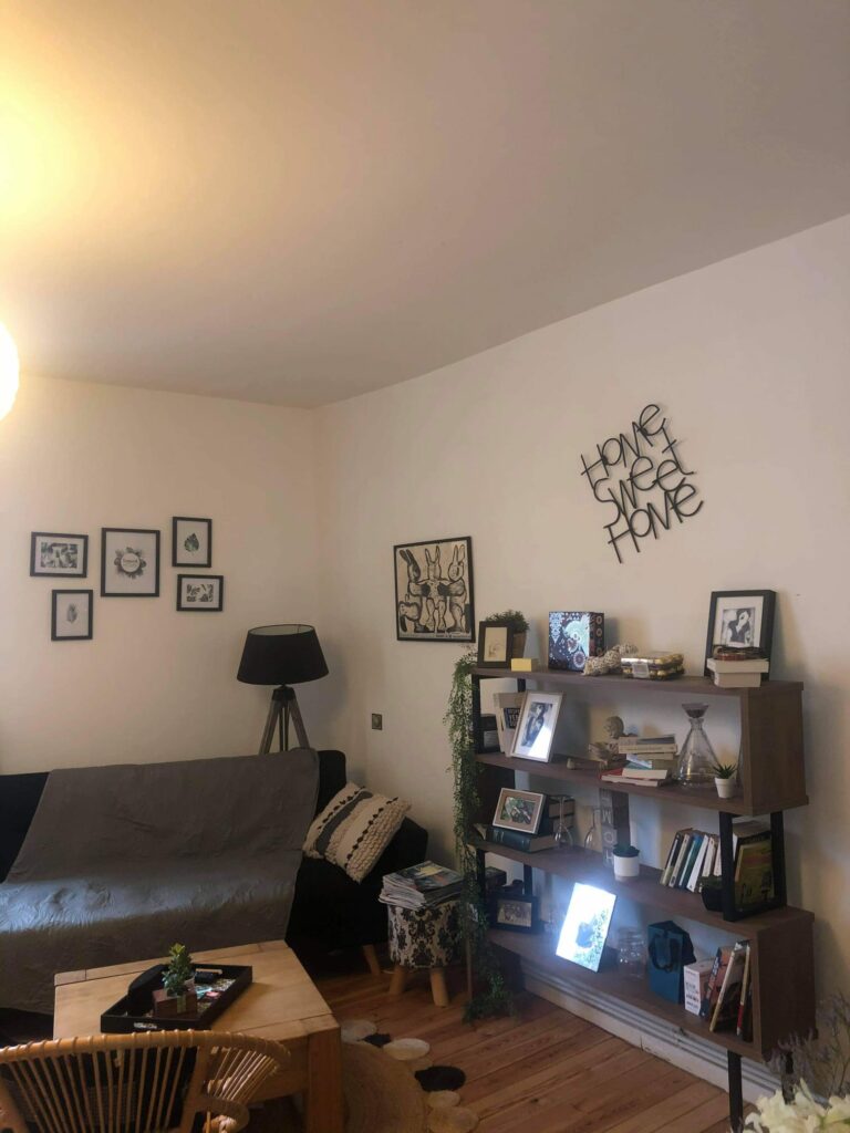 Clem Peinture Peintre Lannion Peinture Et Decoration Int 21