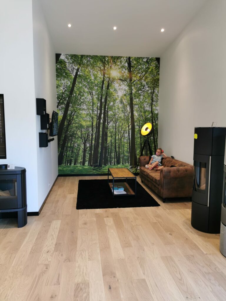 Clem Peinture Peintre Lannion Peinture Et Decoration Int 28